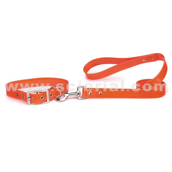 包胶织带用作宠物带与牵引绳，hunting dog collar & dog leash be made of coated webbing